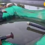 झुनझुनु