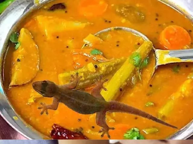 पत्नी ने सब्जी में एक छिपकली पकाया, पति ने देखकर डांटा, मातृ चाचा ने दामाद के जीवन को पीटा