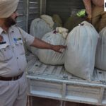 पाकिस्तानी स्मगलर, कनाडाई हैंडलर और बर्मर बॉर्डर, 300 किलोग्राम हेरोइन लाल रंग में जब्त की गई