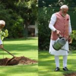 पीएम मोदी के पौधे सिंदूर अपने निवास पर, इस पौधे का महत्व जानते हैं