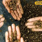 रेन स्प्रे के साथ बीज, किसानों को कृषि विभाग से मिलेगा