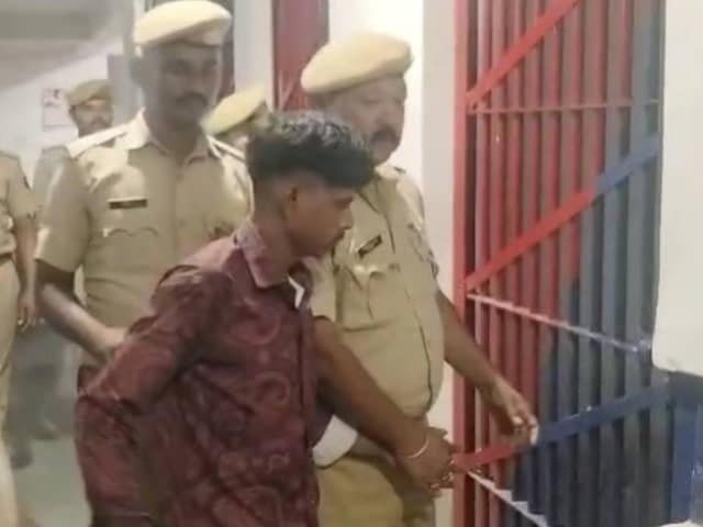 भाई -in -law एक भाई -इन -इन प्यार में प्यार, जंगल में परिष्करण की प्रेम कहानी बन गया