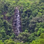 मानसून एस्केप्स: आंध्र प्रदेश के पूर्वी घाटों में चार आश्चर्यजनक झरनों की खोज करें