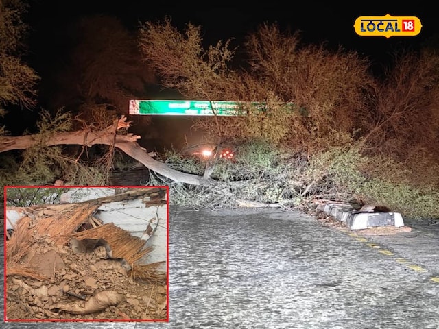 मानसून से पहले राजस्थान में मौसम घातक था, श्रीगंगानगर में एक तूफान