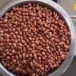 मूंगफली