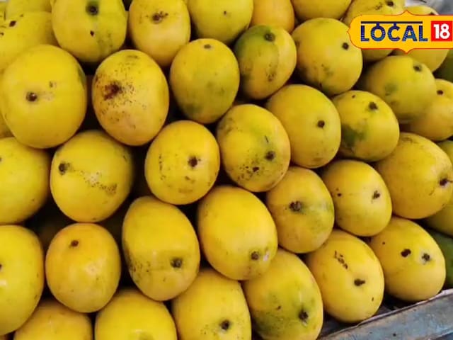 मैंगो की मिठास राजस्थान में जेब में पहुंच गई, सिकर और नागौर में कीमतें आसमान छूती