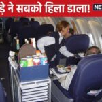 यह संतरे का रस है ... ड्रंकर्ड ने एयर होस्टेस के सवाल पर कहा, फिर ऑग्गी शुरू हुई!