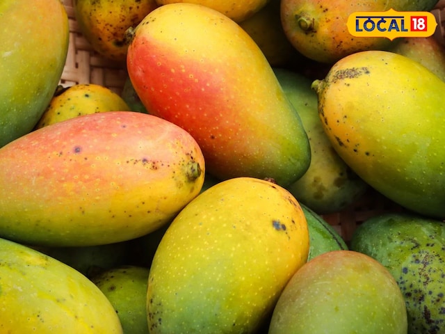 नागौर-अजमेर में, फलों के राजा, कीमतें तेजी से, अभी भी कम नहीं हो रही हैं