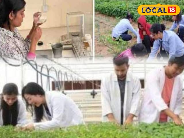 राजस्थान की बेटियों को बड़ा उपहार! 10 वीं के बाद शिक्षा के लिए योजना