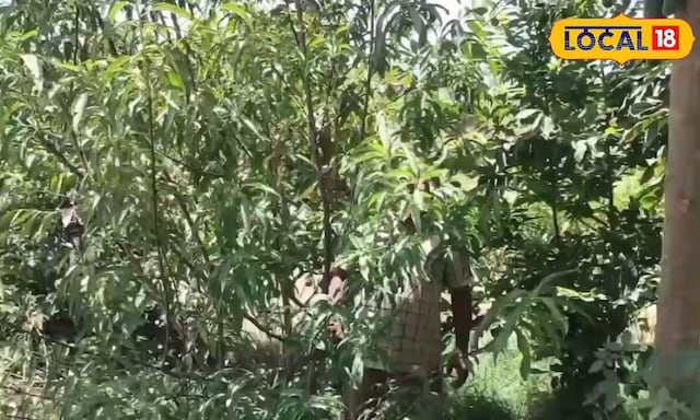 अजमेर