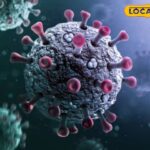 राजस्थान में कोविद का कहर, जयपुर में ज्यादातर मामले, पाली में मारे गए