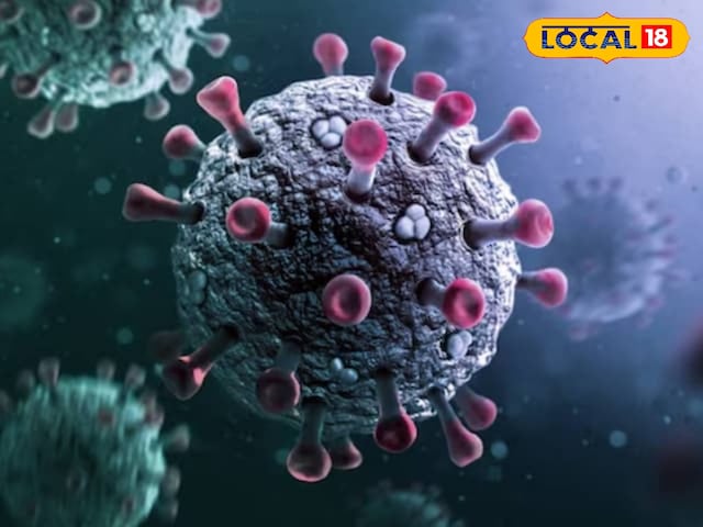 राजस्थान में कोरोना का कहर, 17 नए मरीज पाली में एक की मौत के साथ मिले, जयपुर हॉटस्पॉट बन गया