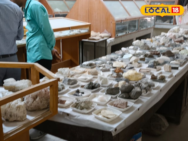 विश्वविद्यालय