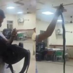 व्यक्ति एक काले बैग के साथ अस्पताल में आया, एक सांप निकाला, कहा- इलाज, इसने इसे काट दिया है ...
