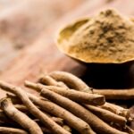 सरपगंधा महिलाओं के लिए फायदेमंद है, इसके लाभ और भारतीय स्नकरूट प्लांट का उपयोग करने के तरीके जानते हैं