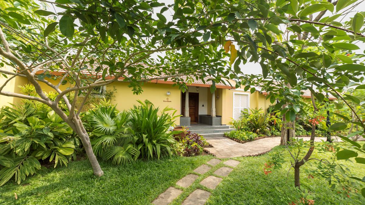 सिरुवानी में सूर्योदय: तमिल संस्कृति में एक झलक और कोंगुनाडु भोजन