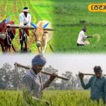31 जुलाई आखिरी मौका है ... जल्द ही खरीफ फसलों का बीमा प्राप्त करना होगा, अन्यथा नुकसान होगा