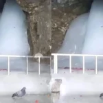 Amarnath Yatra 2025