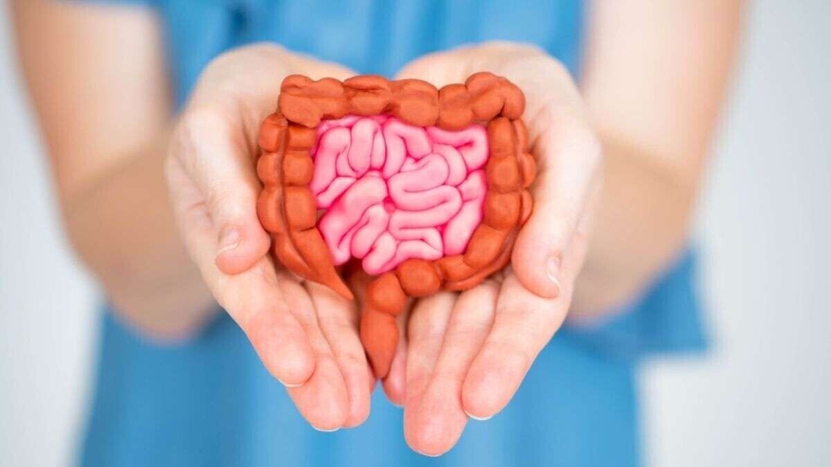 आप वही हैं जो आप पचाते हैं: क्यों आंत स्वास्थ्य मूड से चयापचय तक सब कुछ प्रभावित करता है