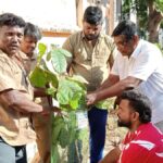 एक सोलो ग्रीन टूर: पासुमाई मूर्ति की हरियाली यात्रा अप्रसन्नता के साथ जारी है