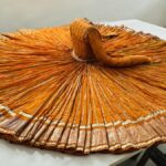 डूंगरपुर के महारावलों के 150 वर्षीय जामों की बहाली के पीछे