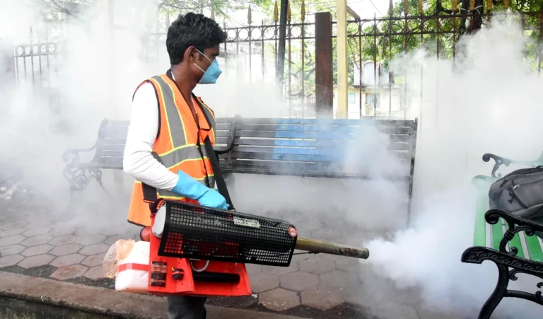 dengue