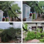 तूफान का आदेश दिया गया, अलवर-दौसा में राहत की नींद, गांवों में डर!