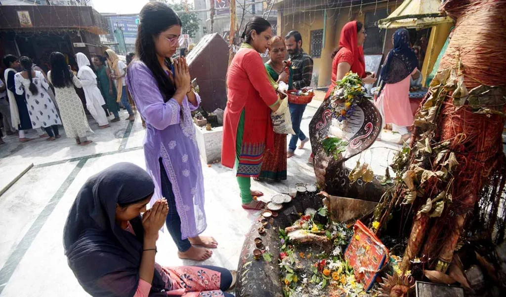 नाग पंचमी 2025: नाग पंचमी सांपों के लिए समर्पण की एक सांस्कृतिक परंपरा है