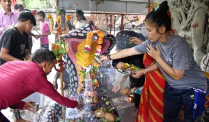 नागपचामी महोत्सव नाग देवता की कृपा प्राप्त करने के लिए एक विशेष अवसर है