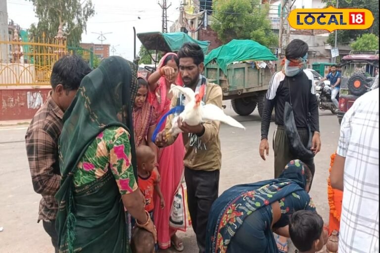 समाचार 18