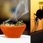 समाचार 18