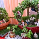 विशाखापत्तनम में शहरी बागवानी: स्थिरता और बीज संरक्षण के लिए एक समुदाय-संचालित आंदोलन