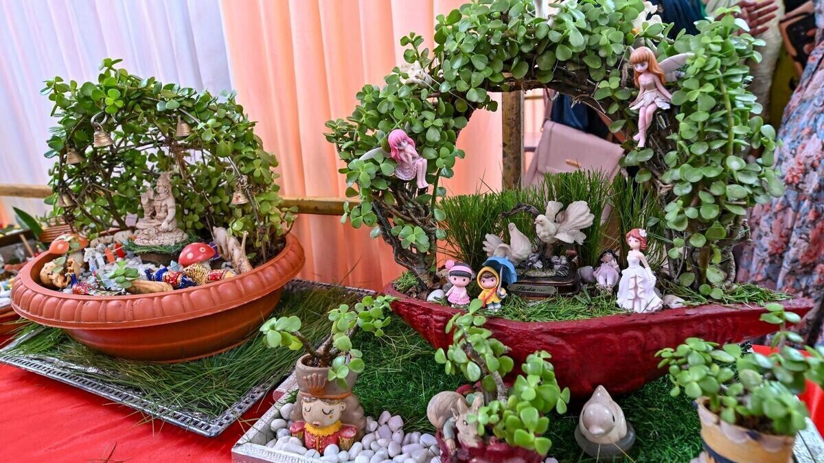 विशाखापत्तनम में शहरी बागवानी: स्थिरता और बीज संरक्षण के लिए एक समुदाय-संचालित आंदोलन