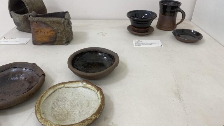 कलाकार कावेरी भरत का कला शो चेन्नई में सिरेमिक, रंग और यादें जोड़ता है