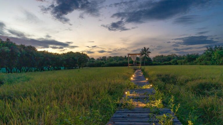 चेन्नई में एक ग्रीसियन शैली के लक्जरी विला ने प्रकृति को सभी पर रखा है