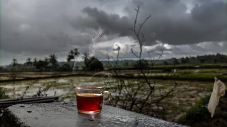 पज़म पोरी, कॉन्गी, काली मिर्च रसम: मानसून के लिए अपने पसंदीदा व्यंजनों पर भारतीय शेफ