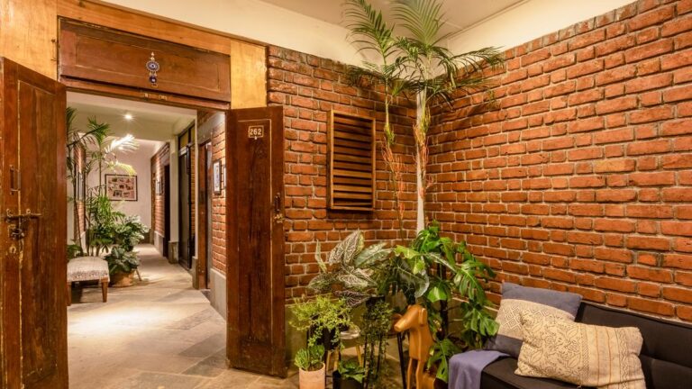 पालतू जानवरों के लिए कमरा बनाना