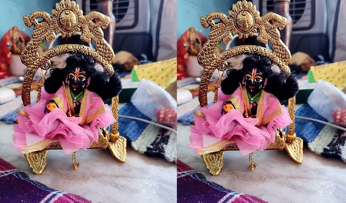 Laddu Gopal Idol Travel Rules