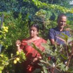 सबसे अच्छा पोषण उद्यान के लिए केरल स्टेट फार्म अवार्ड्स के प्राप्त थिरुवनंतपुरम से एन हरिकेसन नायर से मिलिए