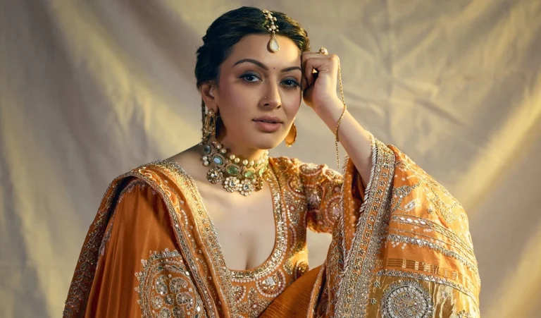 Hansika Motwani Divorce