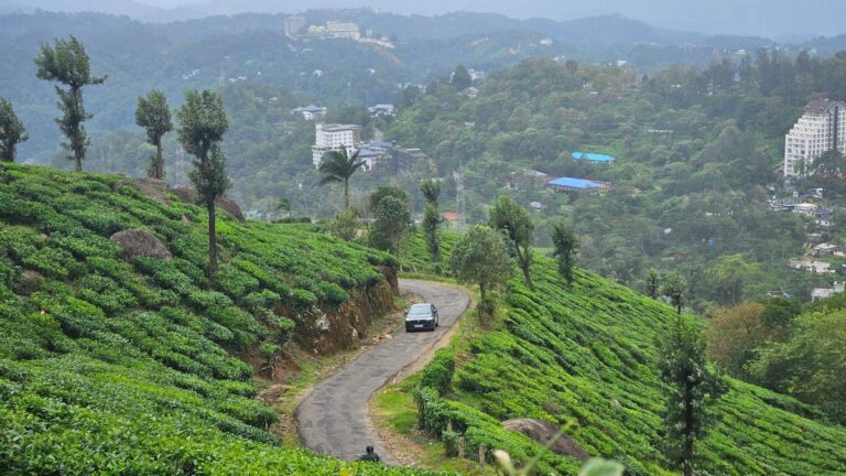 हम मानसून में पश्चिमी घाट के माध्यम से तीन होंडस चलाते हैं। वे कैसे किराया करते हैं?