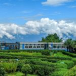 Google Preferred Source