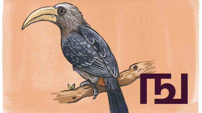 प्रकृति शिक्षा: एक तमिल वर्णमाला चार्ट जो बच्चों के लिए स्थानीय जैव विविधता, संस्कृति और प्रकृति का प्रतिनिधित्व करता है