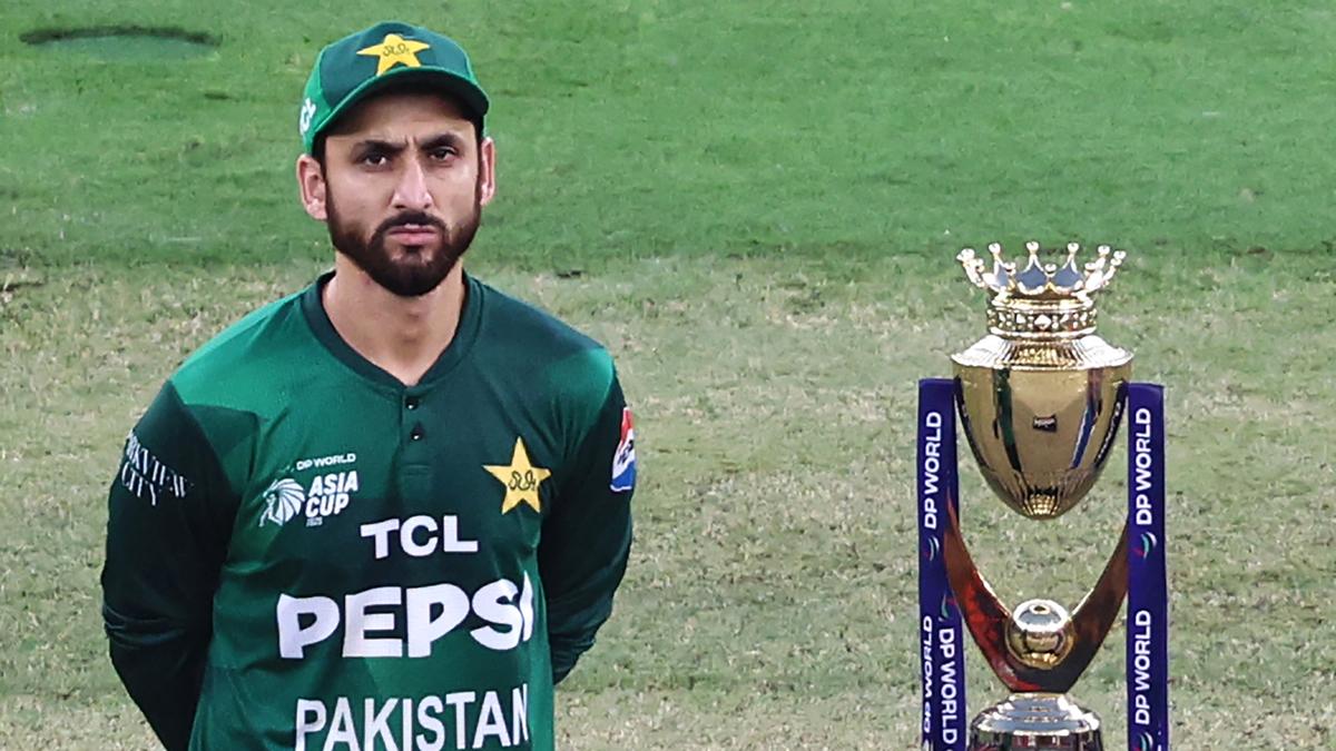 सलमान आगा कहते हैं