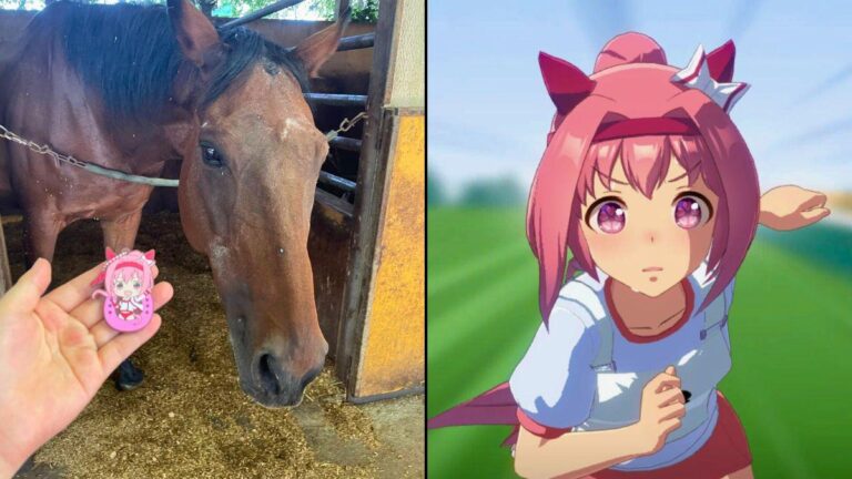 Google Preferred Source