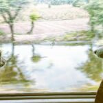 एक नई किताब में भारतीय ट्रेनों में तीन गोद लिए गए इंडीज़ की यात्राओं का विवरण दिया गया है