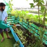 बालकनी गार्डन डिज़ाइन विचार जो आपके घर में मूल्य जोड़ते हैं