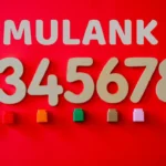 Numerology Prediction 29 December