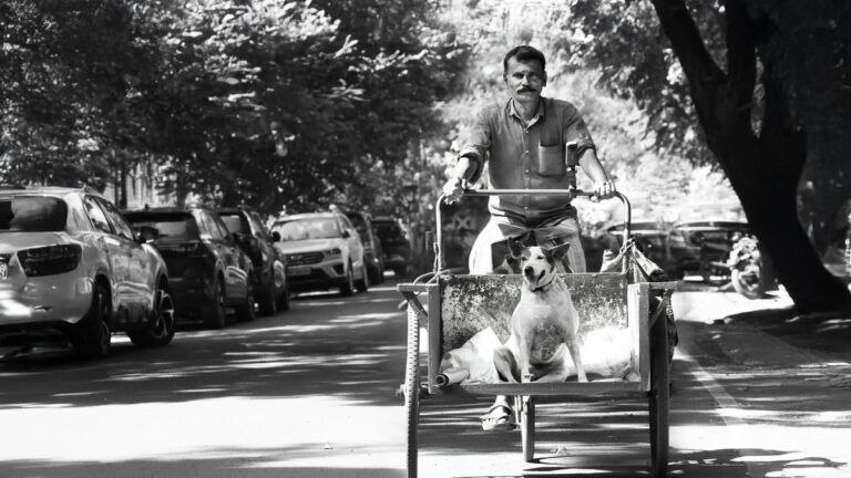 Google Preferred Source