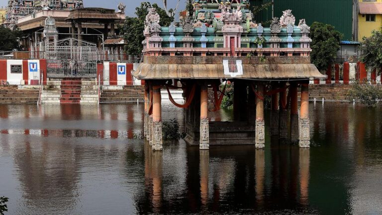 चेन्नई की श्री पार्थसारथी स्वामी सभा 125 साल का मील का पत्थर है